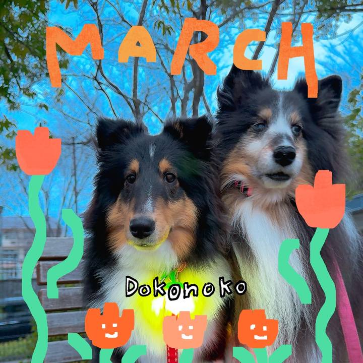 392df71d ec2f 4381 91a2 dacd7f93c9fa 1741196022578