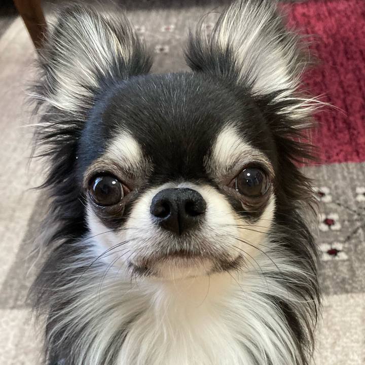 392e0141 7230 4577 bab2 60b8ffc22d75 1616797636354