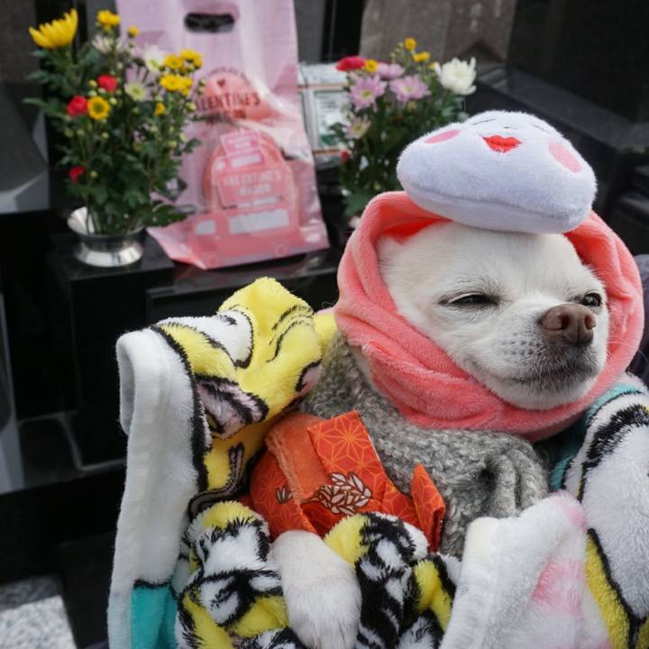 392e1a64 951b 4706 aa2c 549426014411 1517127555090