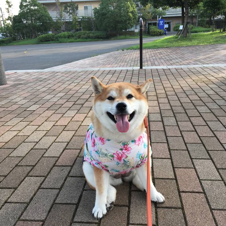 392e3099 efc8 402c a828 aeaecf59bc75 1566339873879