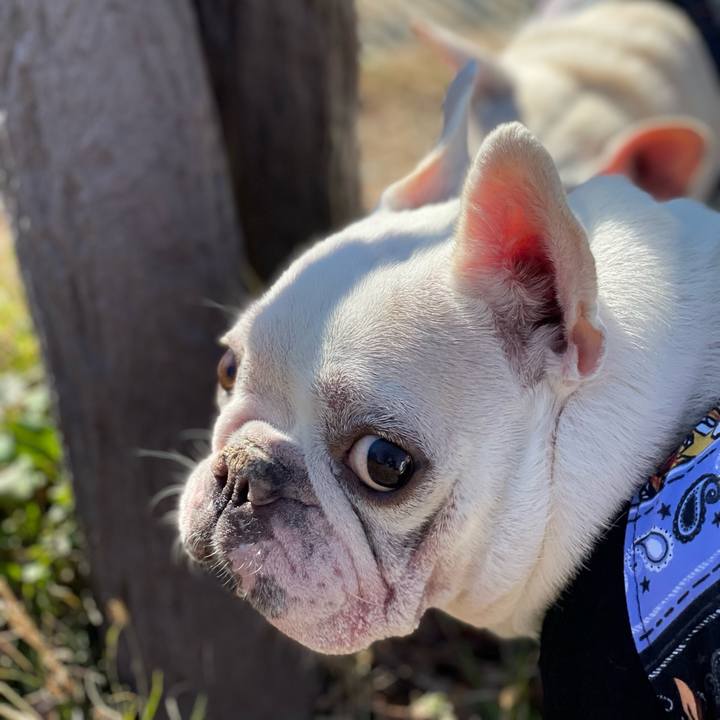 392e429c c867 4a23 8559 a393e8e7dc1c 1641795803375