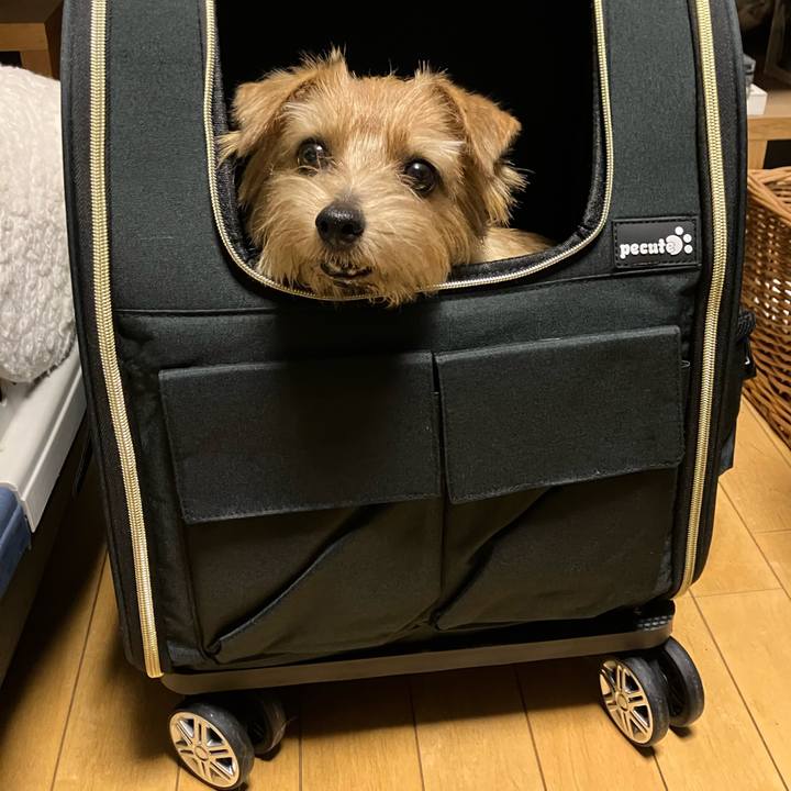 392e4300 9fc0 4b54 b0ae 31654bb3a780 1760782129108