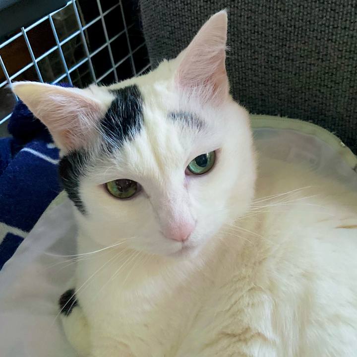 392e4bc3 ef43 4980 afc0 bd4d1b1c0a76 1677566152891