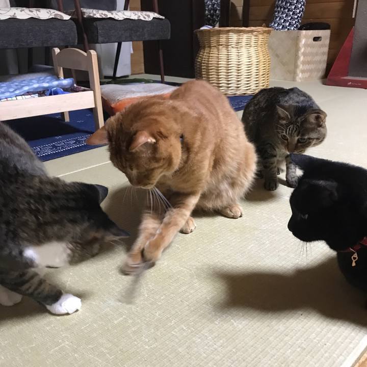 392e5616 d449 4c60 a3cf 48a268e09682 1529496298397