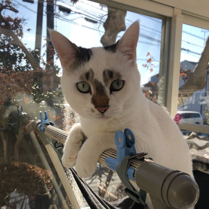 392e6b13 bc86 4fd4 aae1 00822cfd8c39 1548232773704