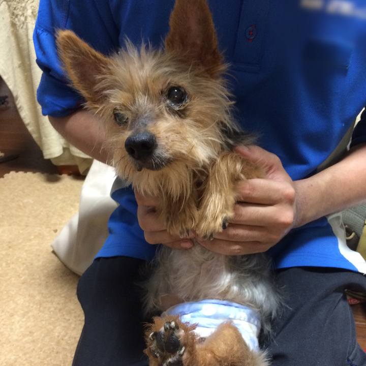 392ea918 da78 4900 9a69 79a9998f9cf8 1558932958427