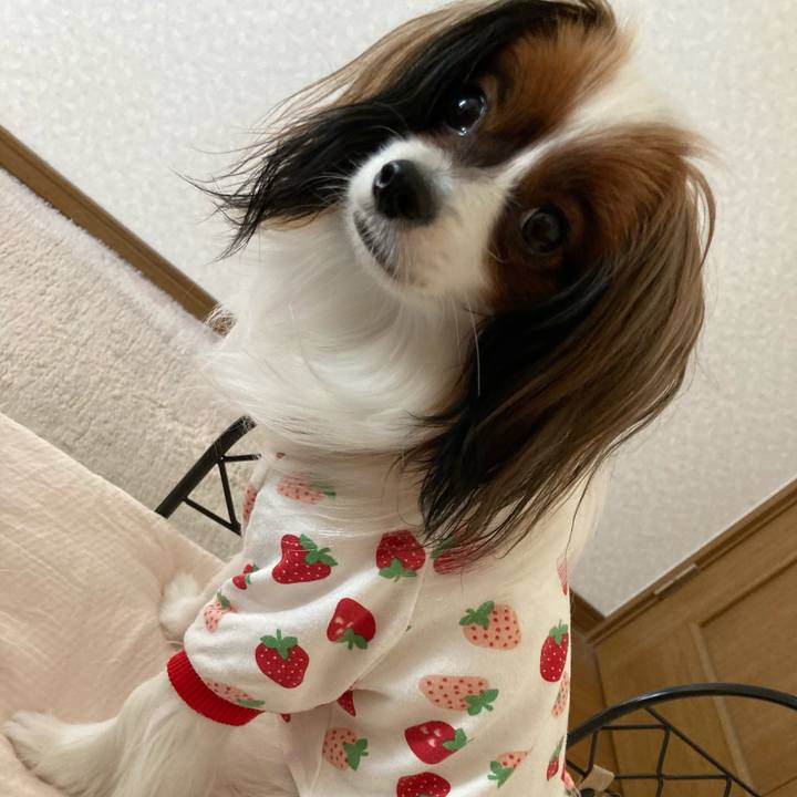 392eb50e 8726 421a adc1 eb410036411b 1634947591274