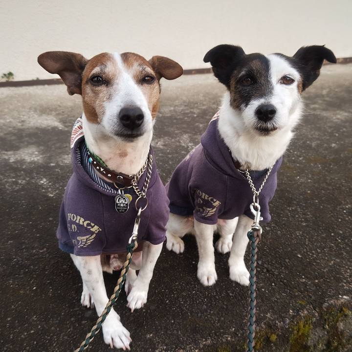 392eca47 db8a 4e3e 9fe3 881a1f67892f 1772836080757