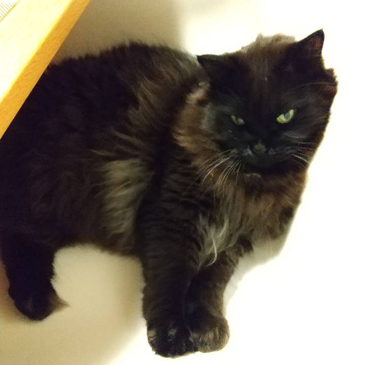 392ed4bb c106 4830 939c 7a46df64e658 1613126531029