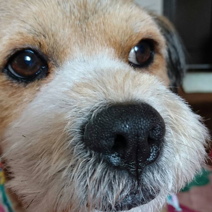 392ee4f7 033d 4123 a886 a1f00087e837 1523680986637