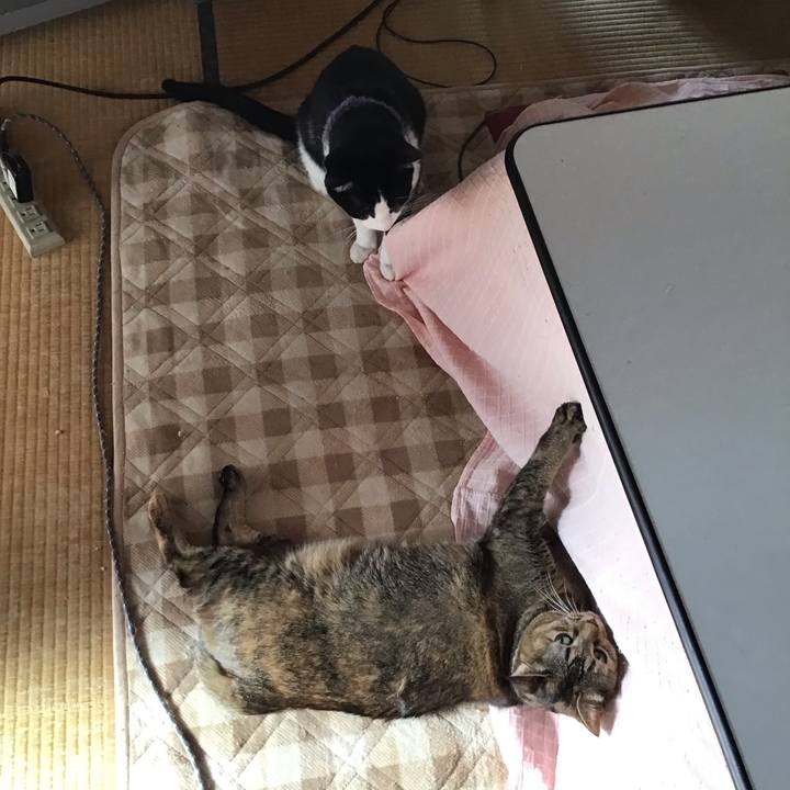 392f2e8a 05d6 4e73 bc21 bd6b13a357f1 1668935666148