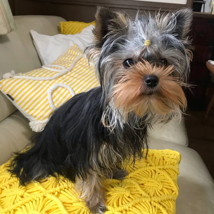 392f4d7e 7d95 4d75 a346 bb61f1640670 1629084622060