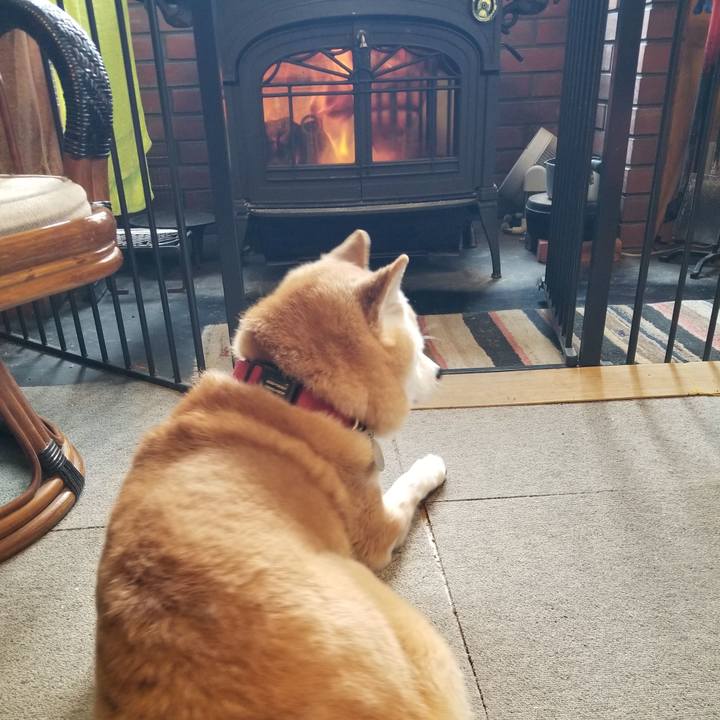 392f6be5 ad5d 4ef5 8eca 9b87bbc2da4f 1741650220767