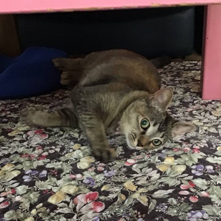 392f86e5 865c 4058 922f 68637cf0b612 1591398352060