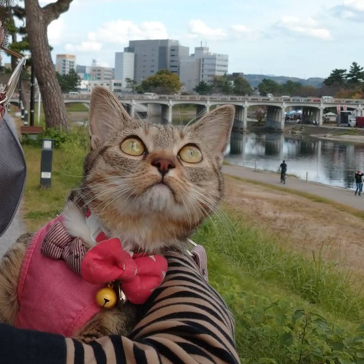 392f9b11 b42b 4833 b4af 7975596be6cc 1635675444555