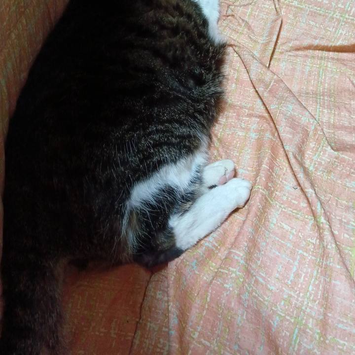 392fd192 e6ac 4a24 a923 7b60e0354bf3 1772517875307