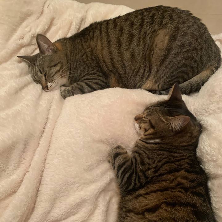 393056f6 9f1e 4dbc 8efa ca5c926c3a79 1646143752277