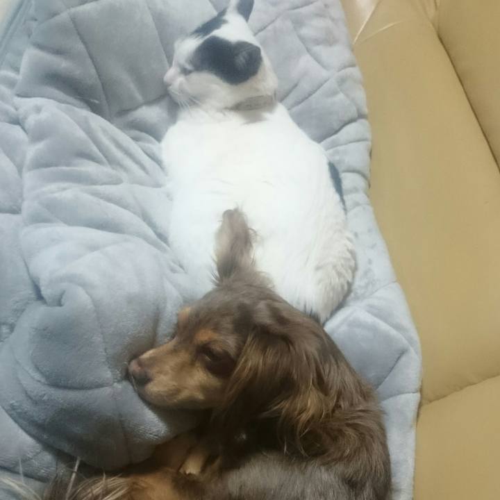 39306db7 744f 4937 ac9c a76c2f8d9cd5 1522236760160