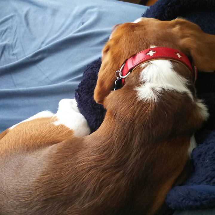 393093a4 6ea7 4c0b a18f 2d91a1aa8727 1646189098108