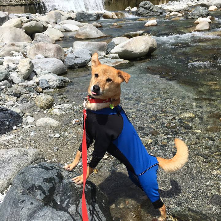 3930ab71 5ff1 418a bea5 a886f532265a 1534579650873