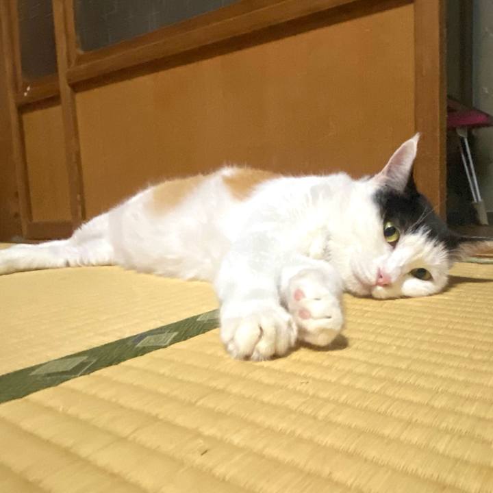 3930ae62 0c6f 4c42 84db c03eb135f992 1692543504456