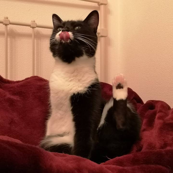 3930ecc2 e396 4879 91e3 a898d30b6acf 1549814592089