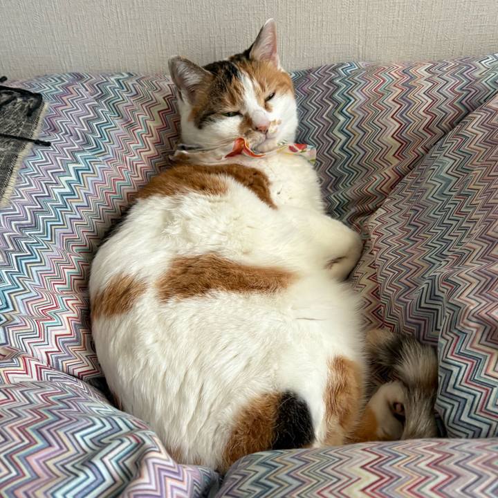 39310b2d fdff 4df3 8577 e7b1f8d1ead4 1772929194285