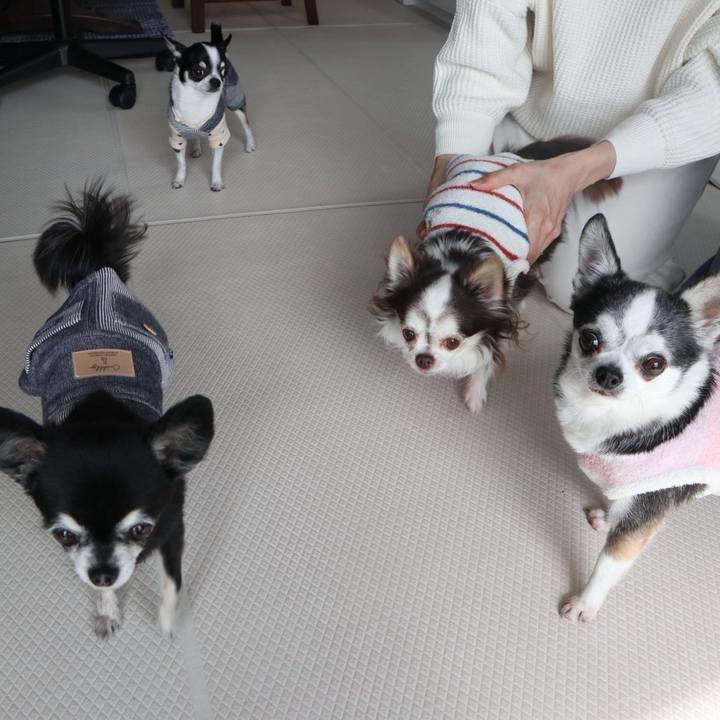 39311d6e 7ce8 4767 b3e2 e7564ebbc8b7 1774342718988