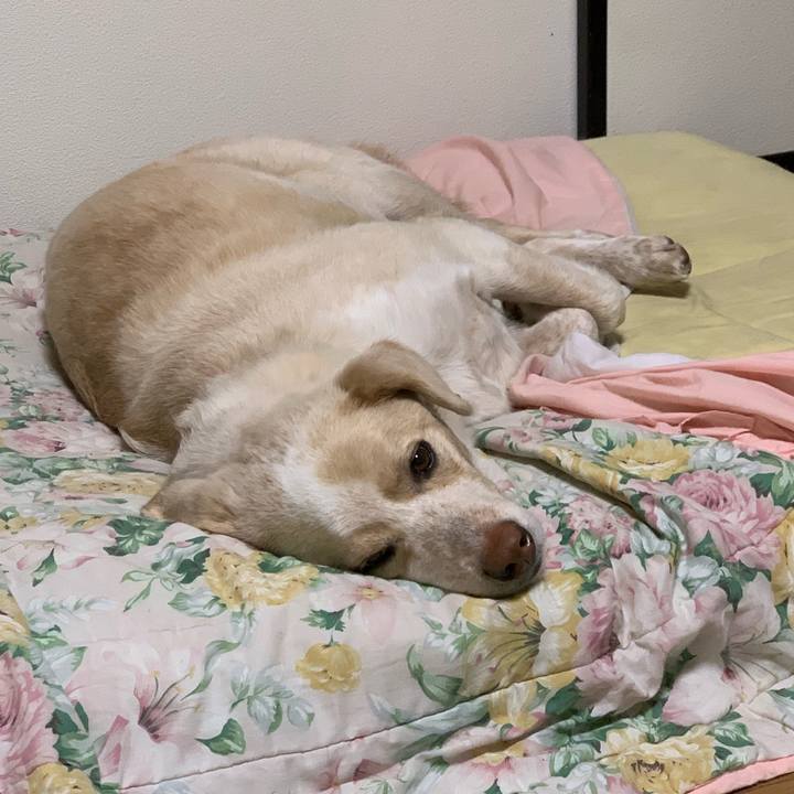 393136d4 6d1b 4f37 b523 786d29cadf30 1553945072804