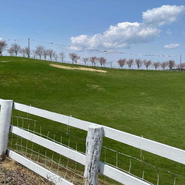 393139c2 c82c 48c1 9272 5fd8036b9312 1620095694920