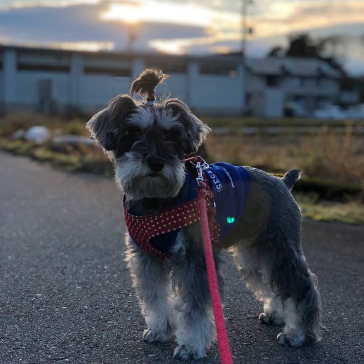 393176be 0325 431b 9d27 6782aacb0249 1543133315054