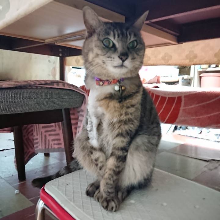 393186c5 3f10 411f 8f2c 9324e7a46ea9 1590003933852