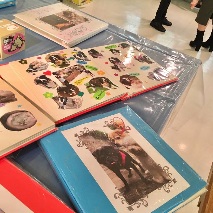 3931e533 49e3 450c a8c1 5d846a6001b3 1538739300476