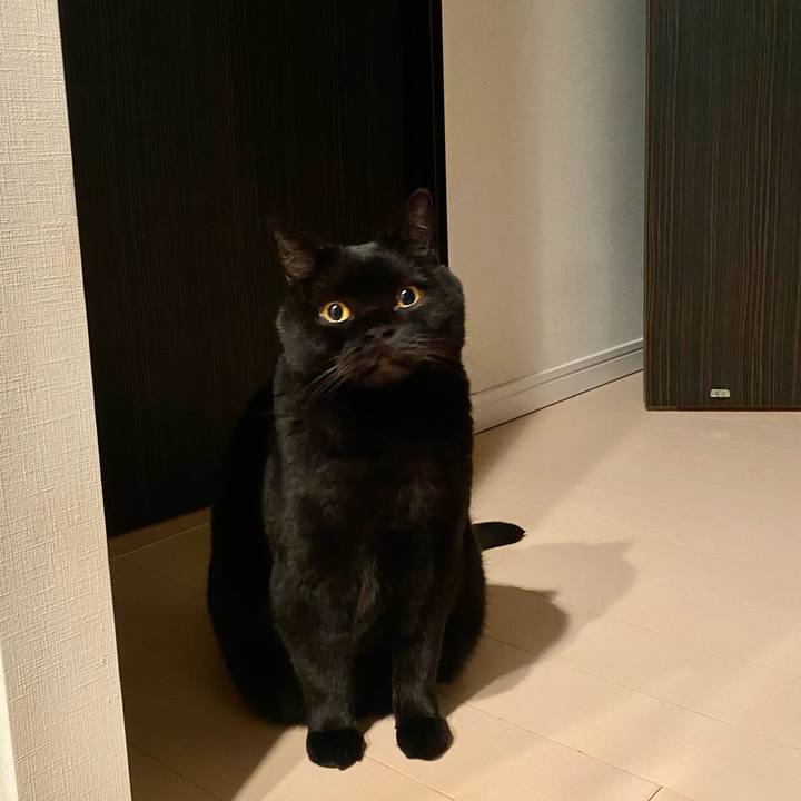 3931fca5 ac92 4bc9 a6c3 2761ede66b5d 1734784999615