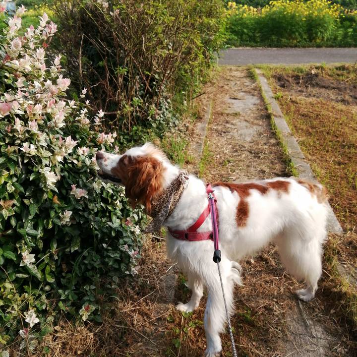 39322bc9 b79f 460d bf33 e0b6fb1a9555 1596672814273