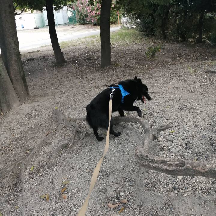 39323e0b 40a7 4f5c aa40 65d8be1eff4a 1628286016642