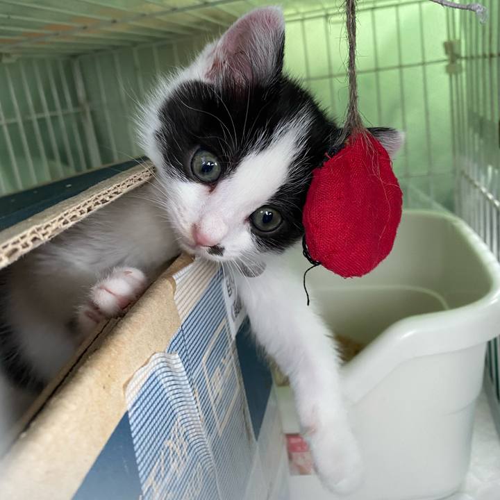 39324761 6550 4724 97e2 a2fd161352cf 1652055127806