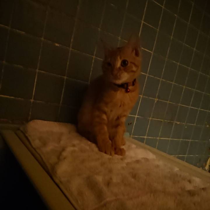 3932d197 e94e 4208 b0d4 07e9ff3a7d07 1632477671664