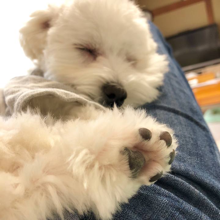 39331fe4 68a9 4e18 a10c a31cdd815933 1523944680515