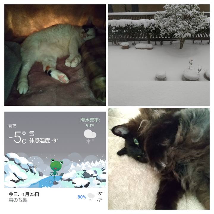 393334e7 cf7c 41e4 807d 4b81bde1e411 1674623729487