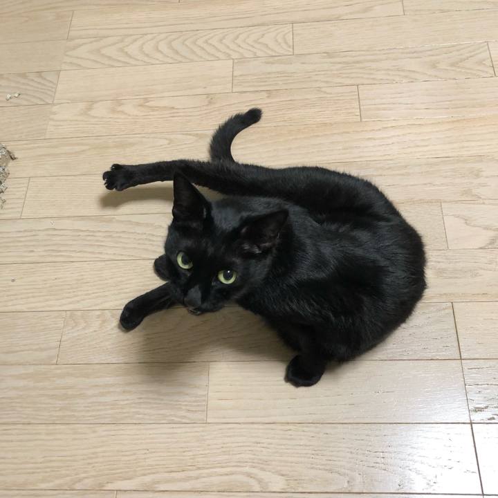 39333cfc 211c 41ac 873e e8d07d4896a6 1631019207738