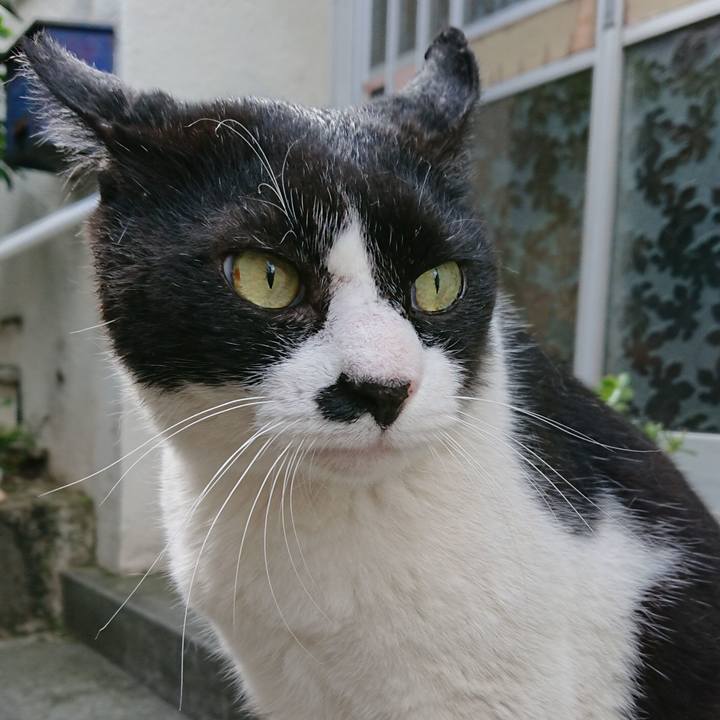 393352df 1655 4eed 868d 4c91da42f931 1528172205544