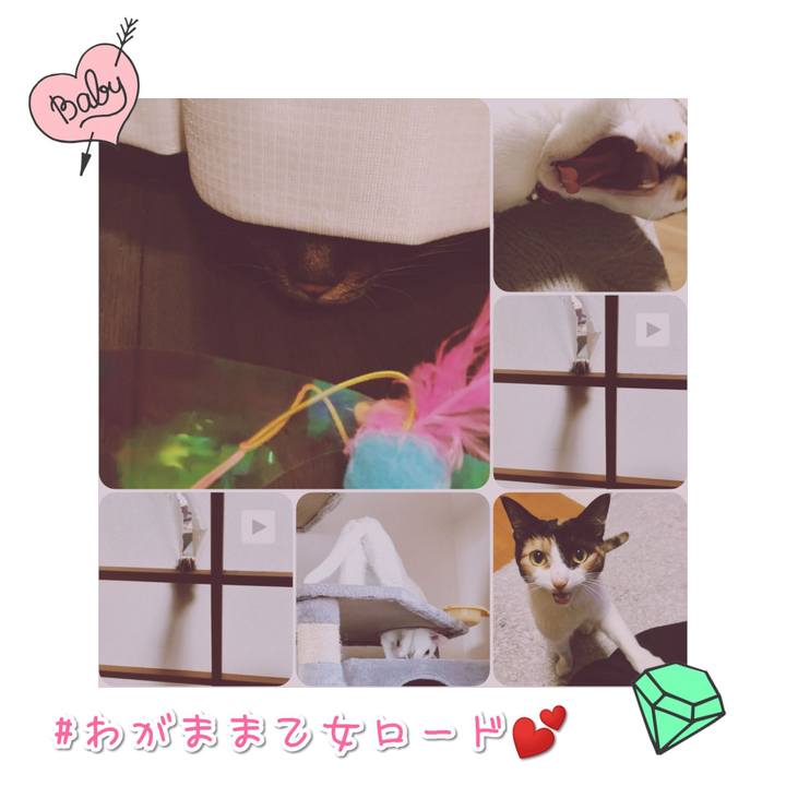 3933589f 21fe 446c 92d6 f457fcefca1b 1568193801770