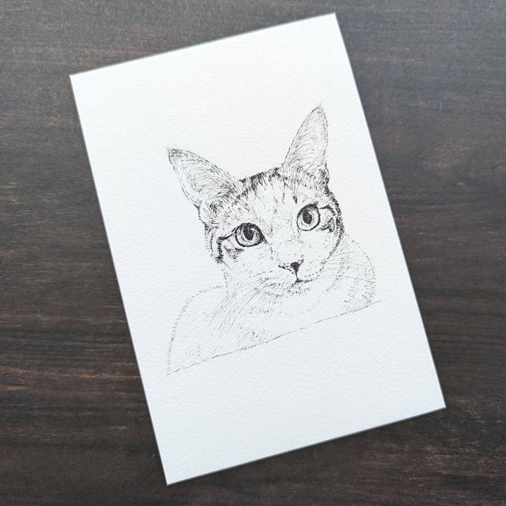 3933720f 373d 49dc 8b07 fd6bee82a9d0 1693656430525