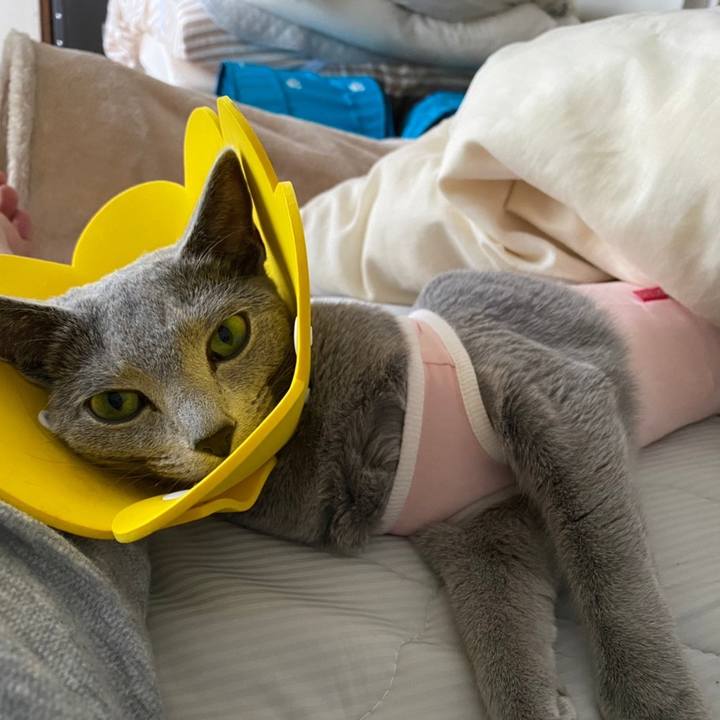 3933a90b c332 4e5a 98b7 e74d9675a49f 1631168534820