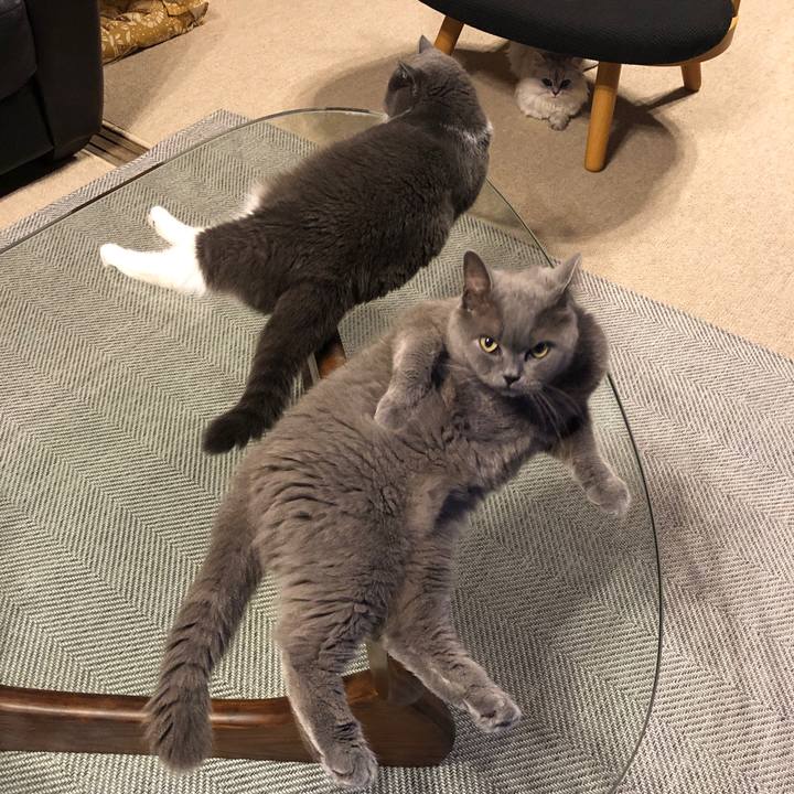 3933f426 04f3 4afc 95f9 bc938d25f9f9 1563884757121