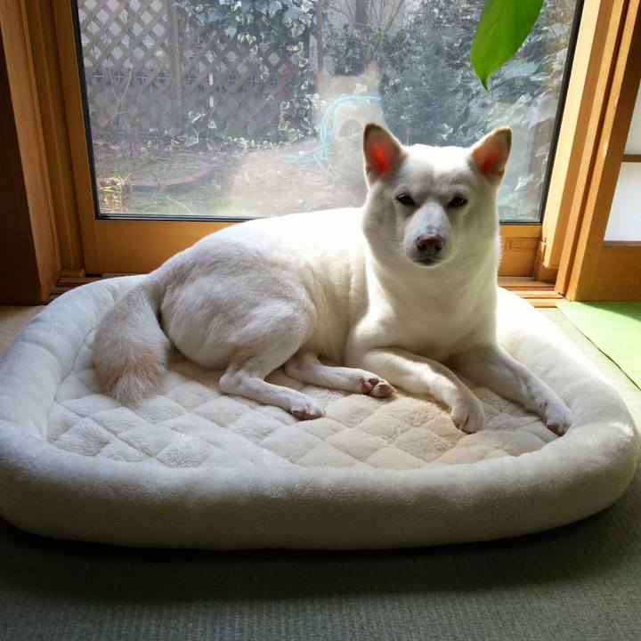 39343fa2 7cae 4e79 aaaf a40b23618e37 1551151866445