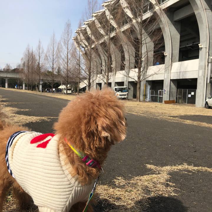 3934826b 51c5 4715 9519 179cd75385a9 1552197855943