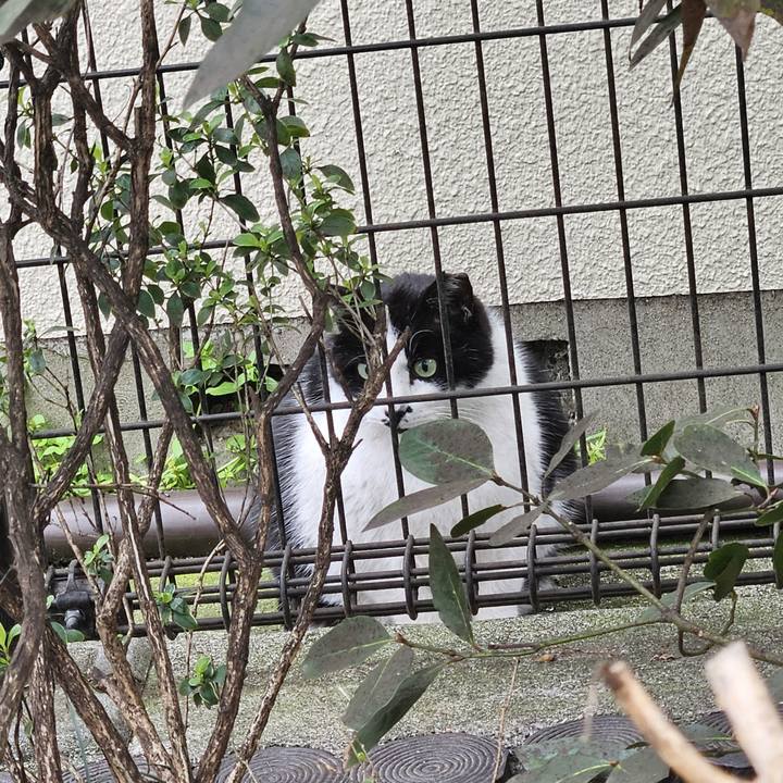 39349e92 d095 4d91 b793 28bb731c649c 1712404682175