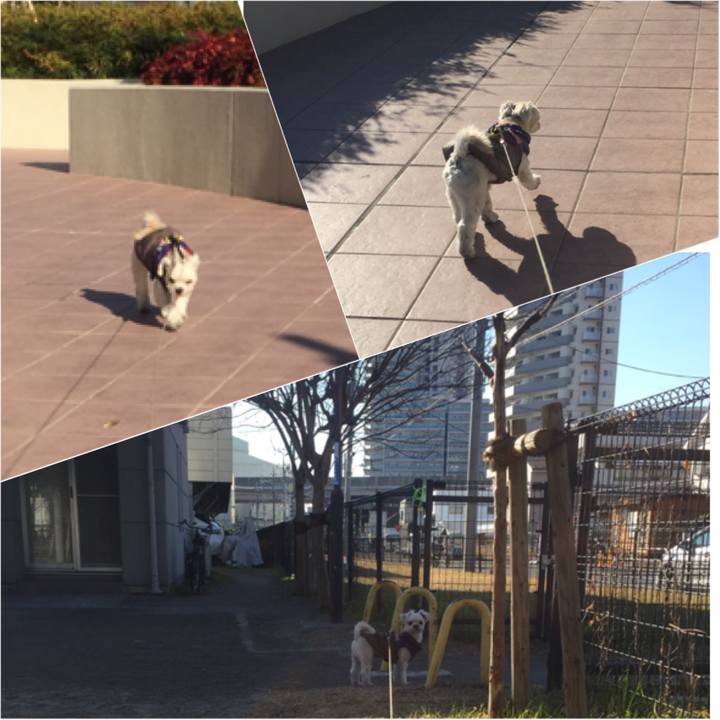 3934eaac 80a4 484b aee8 966d71294ba1 1515842609150